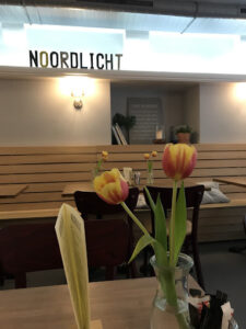 Noordlicht