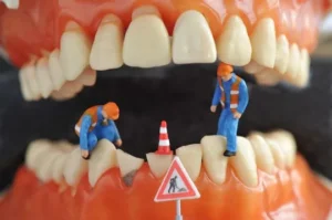 Seedent Ihre Zahnarztpraxis