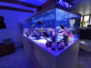 Aquarium-Bassin SARL