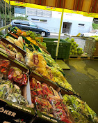 Gürbüz Market