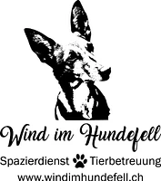 Wind im Hundefell